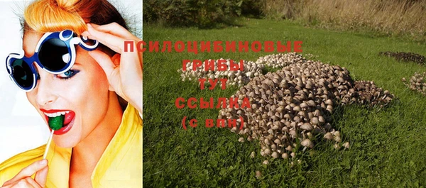 таблы Струнино