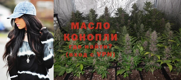 дмт Вяземский