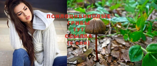 гашик Вязники