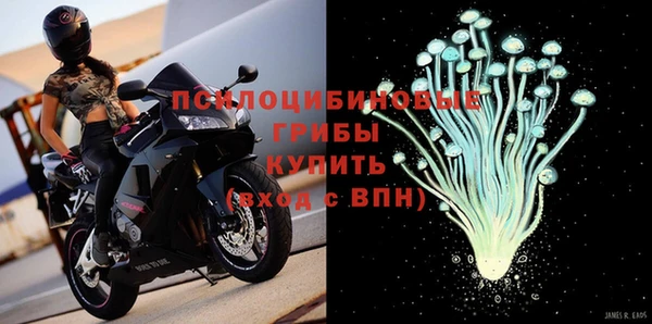 спиды Вязьма